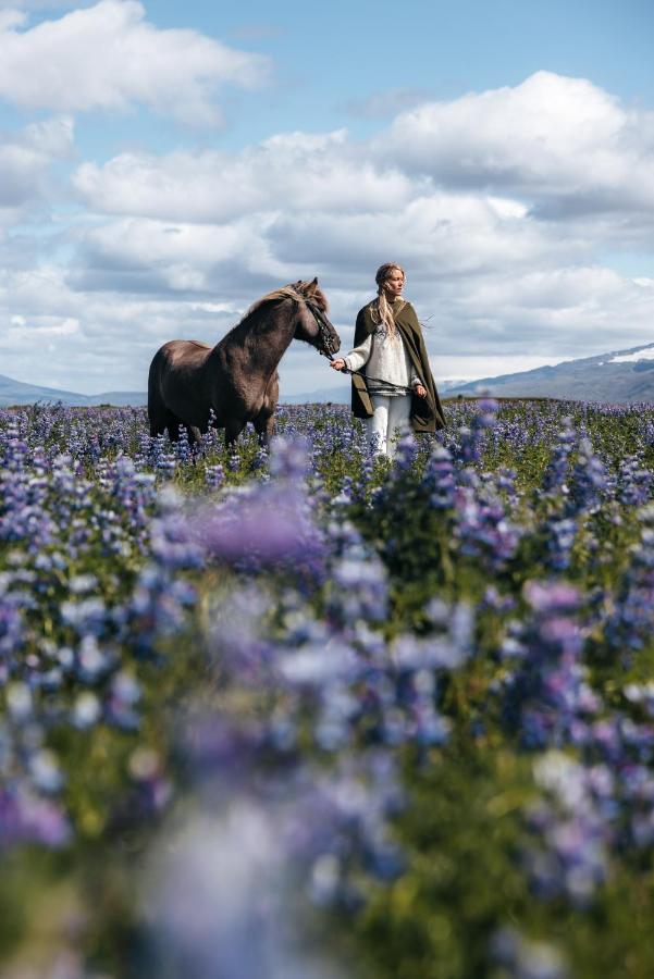 크볼스뵈들뤼르 Sleeping With The Horses 아파트 외부 사진