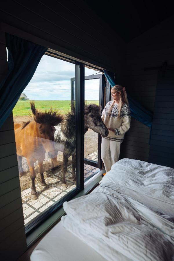 크볼스뵈들뤼르 Sleeping With The Horses 아파트 외부 사진