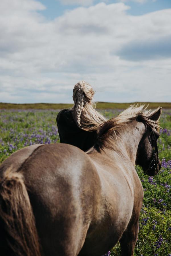 크볼스뵈들뤼르 Sleeping With The Horses 아파트 외부 사진