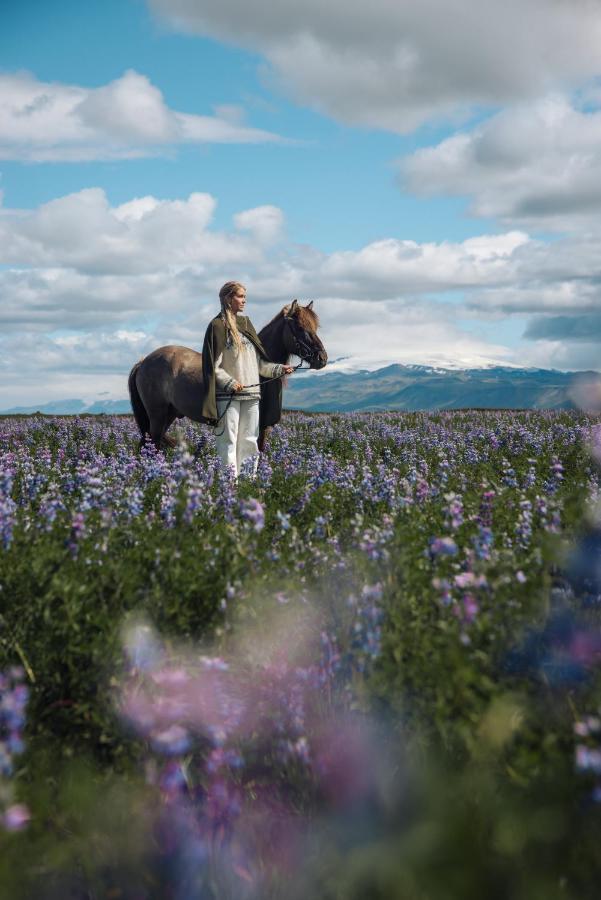 크볼스뵈들뤼르 Sleeping With The Horses 아파트 외부 사진
