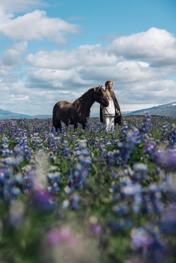 크볼스뵈들뤼르 Sleeping With The Horses 아파트 외부 사진