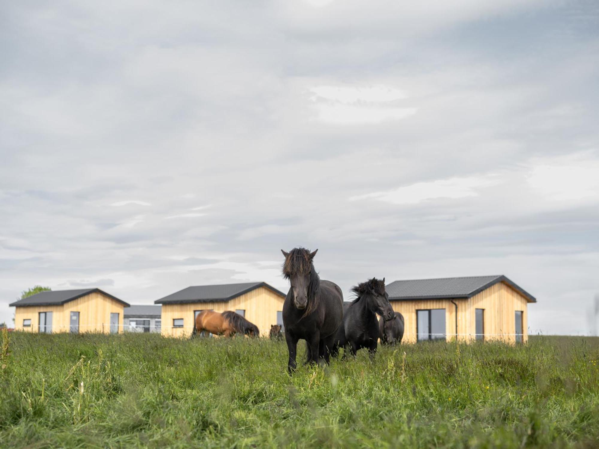 크볼스뵈들뤼르 Sleeping With The Horses 아파트 외부 사진