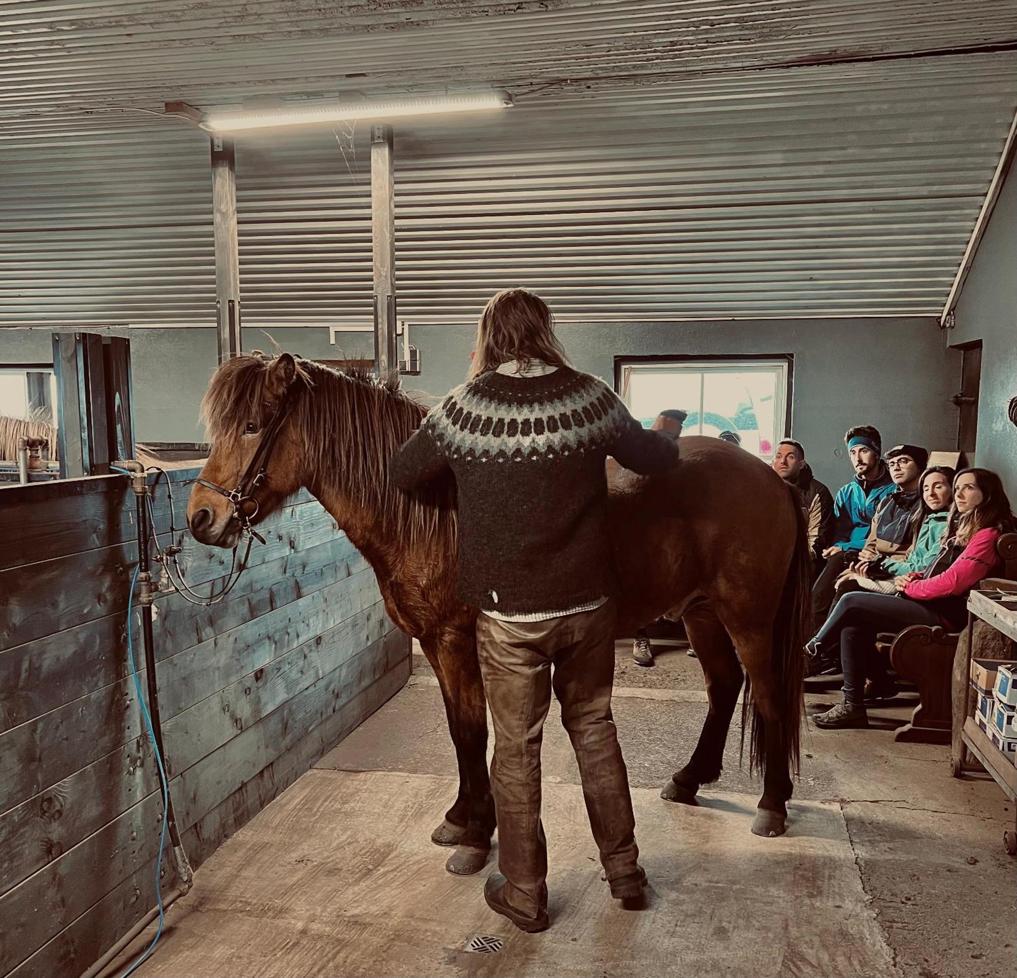 크볼스뵈들뤼르 Sleeping With The Horses 아파트 외부 사진